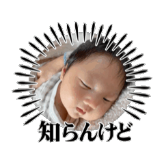 ayumiir_20260426023207