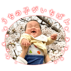 Ayase1203_20260425181953