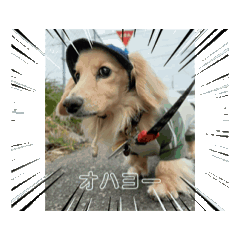 kinako_20260426075630