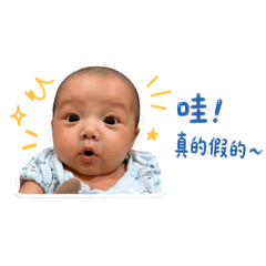 小漢頓的日常用語篇✨