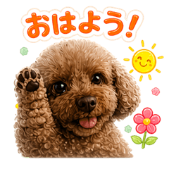 Sticker of my pet toy poodle