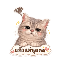 BearTarn Studio_20260425123330