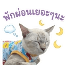 Lilly Bella_20260425122811