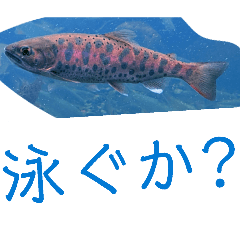 megararagaru-da_20260425162832