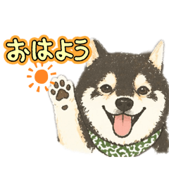 kuroshiba  haku_20260425163407