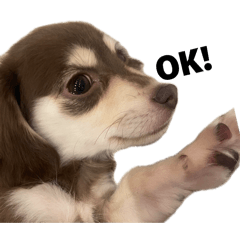 yuyuyuyoyoyo_20260425154844