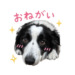 Hona Studio_20260425163223