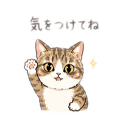 ricotaro1217_20260425163111