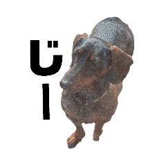 kenshin_20260425185706