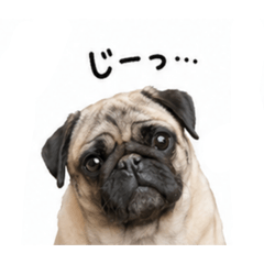 Kiyade_20260425163445