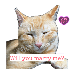 Gentle_neko_20260425163210