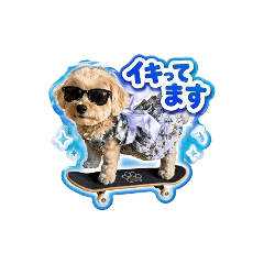 5267.k_20260425190208