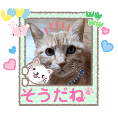 Noriko_20260425190914