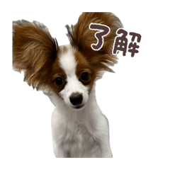 chihirocchi_20260425191129