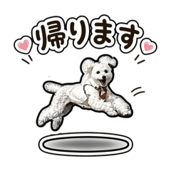 Amagami_20260425191235