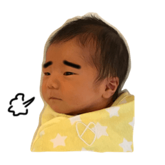 happy sun kyodai