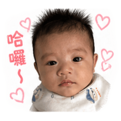 宸宸的日常用語3