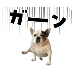 HEPOKO_20260425194012