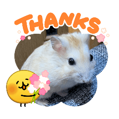 DANIEL_20260425193726