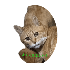 ASUKA_20260425194305