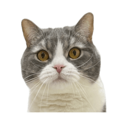 naotaka_20260425194648