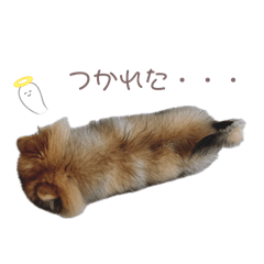 Seara_20260425194733