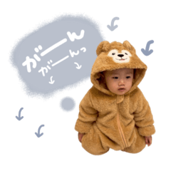 toh569_20260425194042