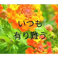 BA-BA_20260425194013