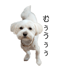 ayayayaya_20260425175221