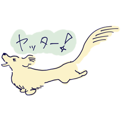 cocha_20260425180502