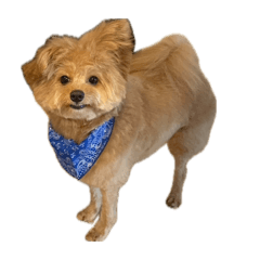 (^^)!!_20260425180440