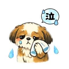 CROVER_20260425180408