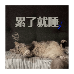 不知道要用什麼標題 我想到的都被用了