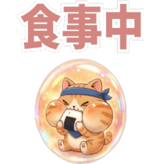 Puffy Bubbles: Ninja Tabby 3