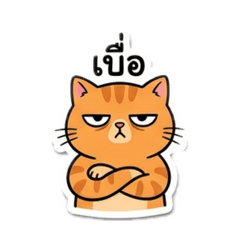 Nakarin_20260425130440