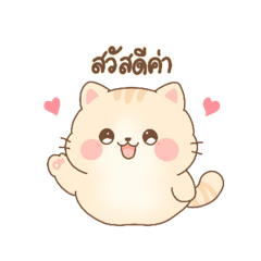 Cat ivory