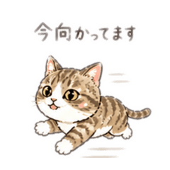 ricotaro1217_20260425153103