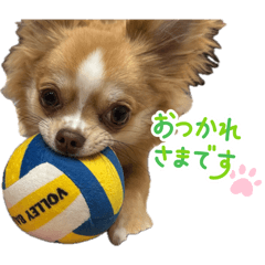 bunkome_20260425200147