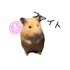 yuupi_20260425200404