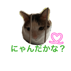 niko niko_20260425201213