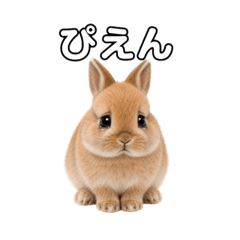 salaena_20260425201539