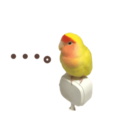 pochamebasil_20260425162014