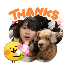 zinga_20260425201343