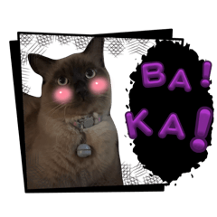 Sigma cat gang