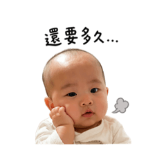 8個月寶寶日常用語2