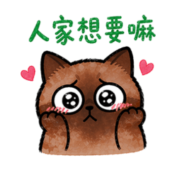 老公老婆的咪咪貓貓