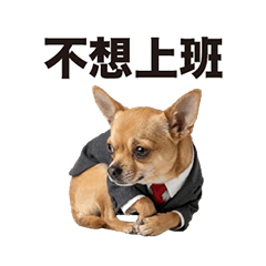 《吉娃娃》的社畜日常 - 文字版