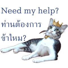 Thai Tabby Tachikoma (Prince Edition)