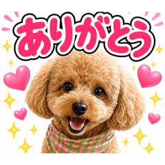 Mey_20260425184606