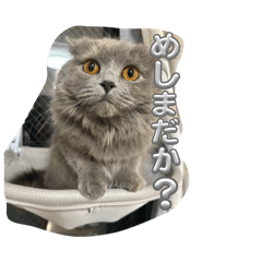 OJOU_20260425185150